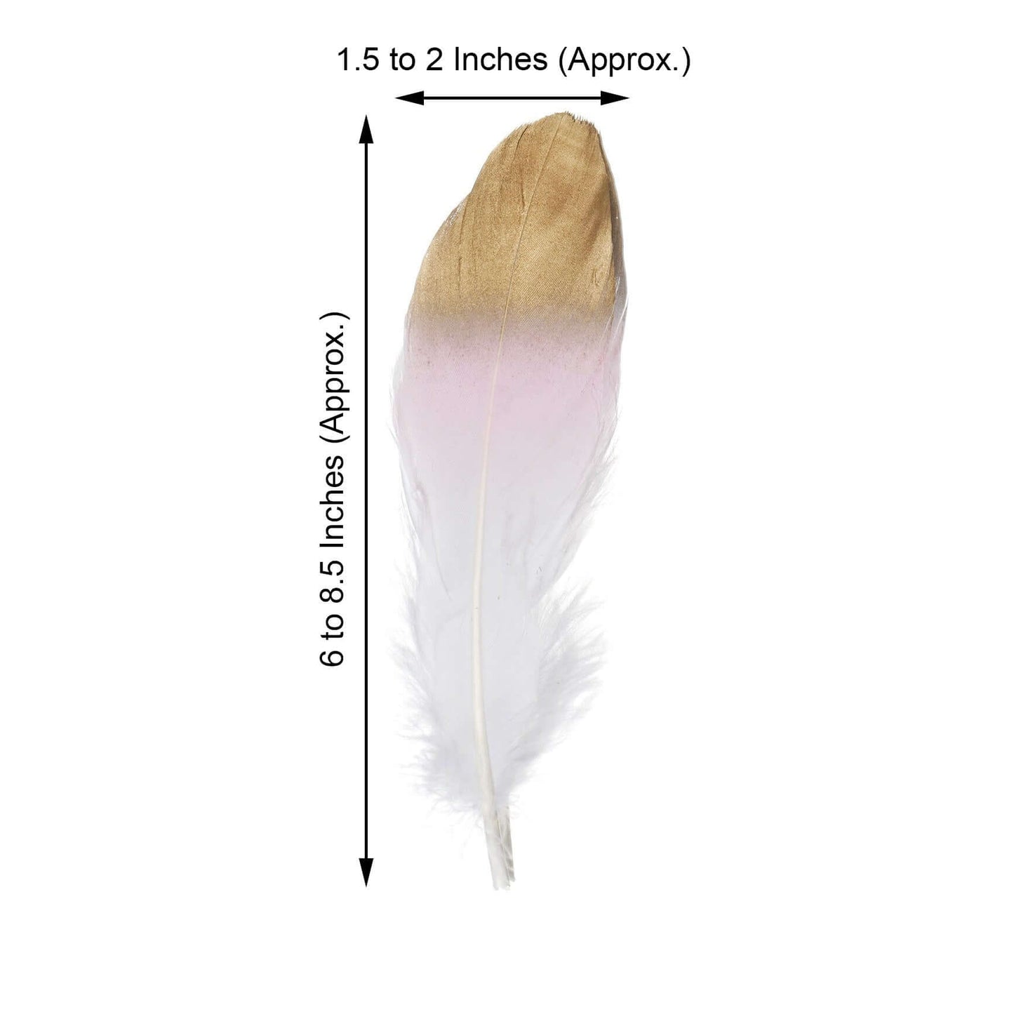 30 - Pack Goose Feathers Craft Feathers Metallic Gold Tip Dual Tone Blush White - Decorative Feathers for DIY Projects - Linen Luxes
