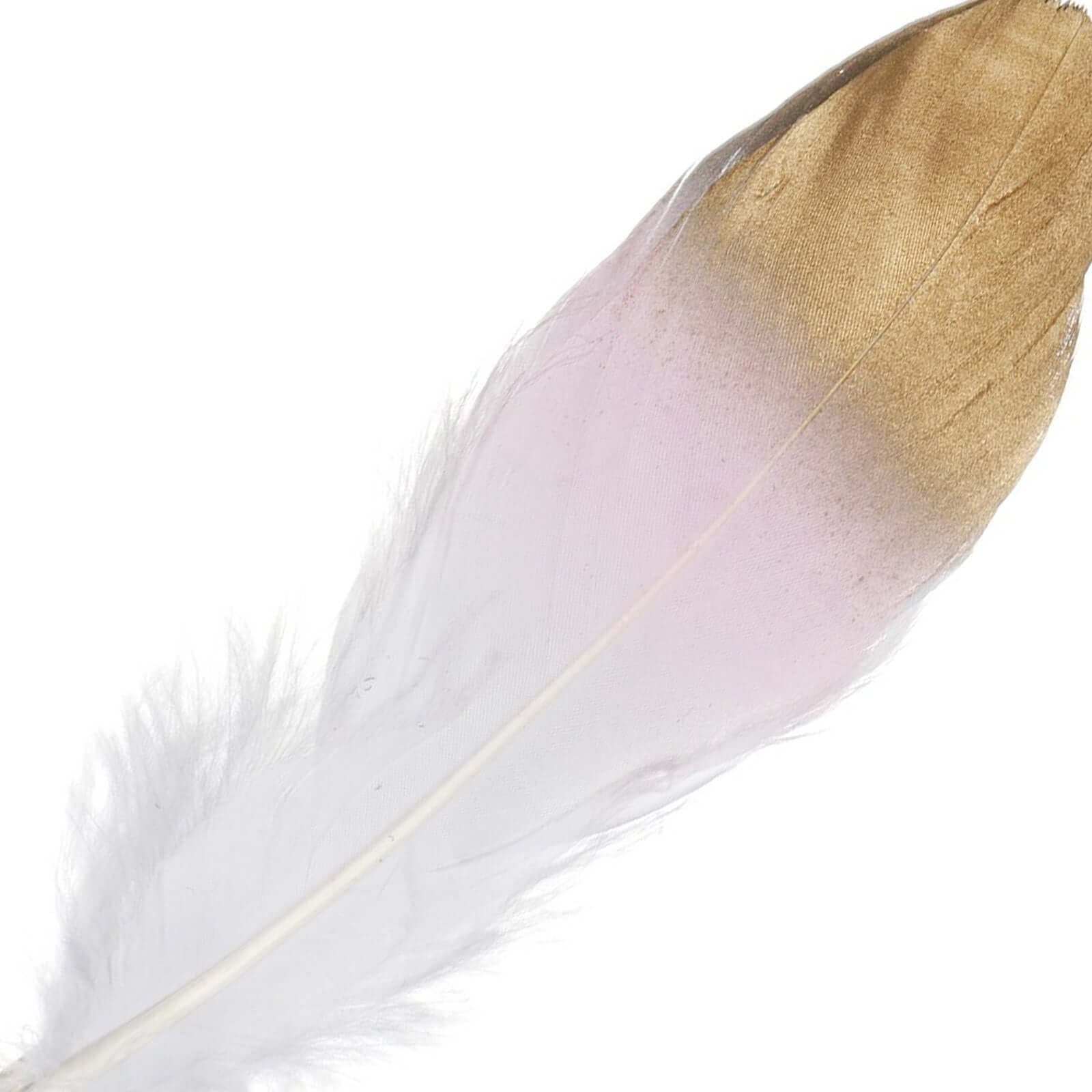 30 - Pack Goose Feathers Craft Feathers Metallic Gold Tip Dual Tone Blush White - Decorative Feathers for DIY Projects - Linen Luxes