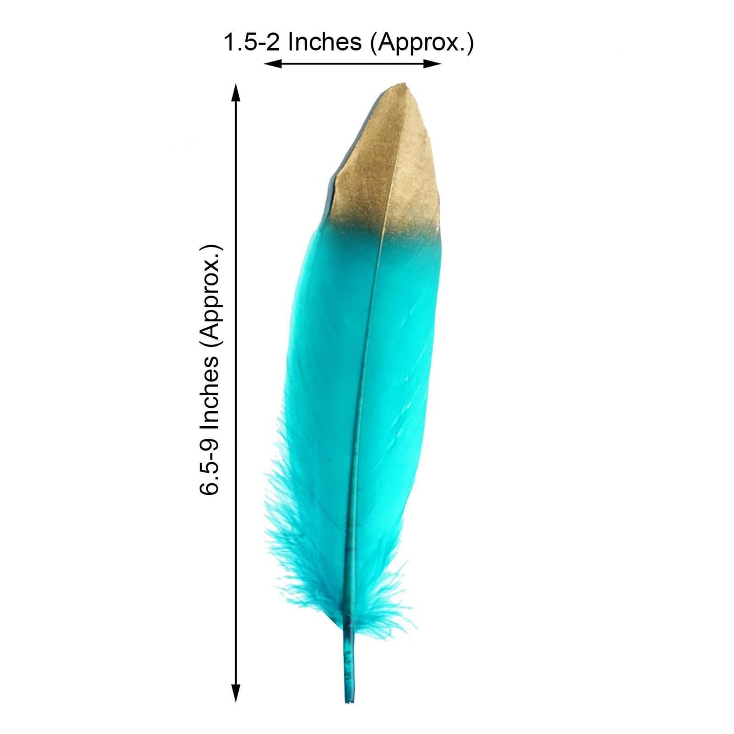 30 Pack Metallic Gold Dipped Turquoise Real Goose Feathers, Craft Feathers For Party Decoration - Linen Luxes