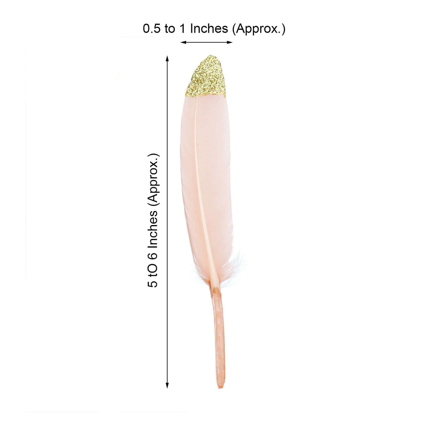 30 - Pack Turkey Feathers Craft Feathers Glitter Gold Tip Blush - Decorative Feathers for DIY Party Projects - Linen Luxes