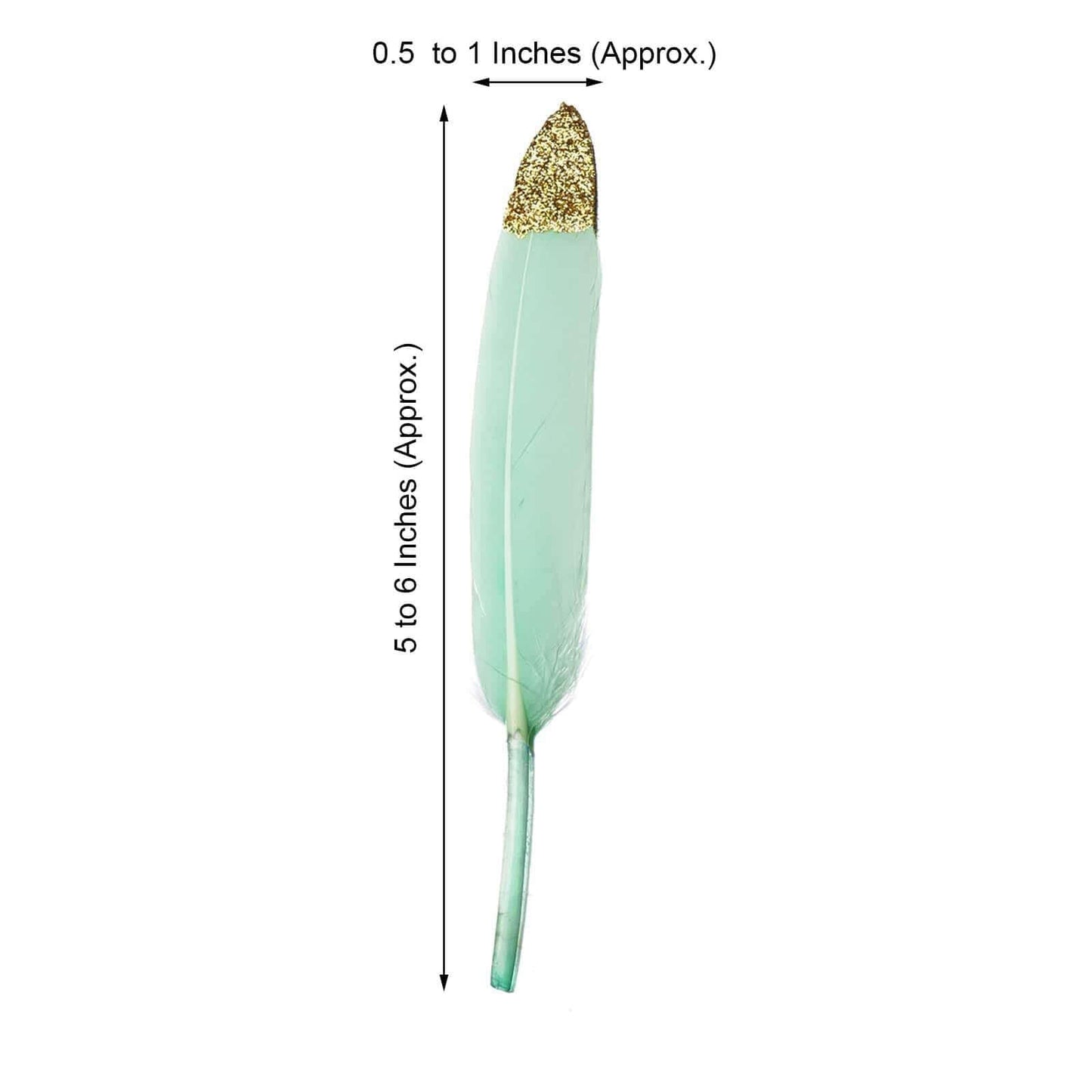 30 - Pack Turkey Feathers Craft Feathers Glitter Gold Tip Mint - Decorative Feathers for DIY Party Projects - Linen Luxes