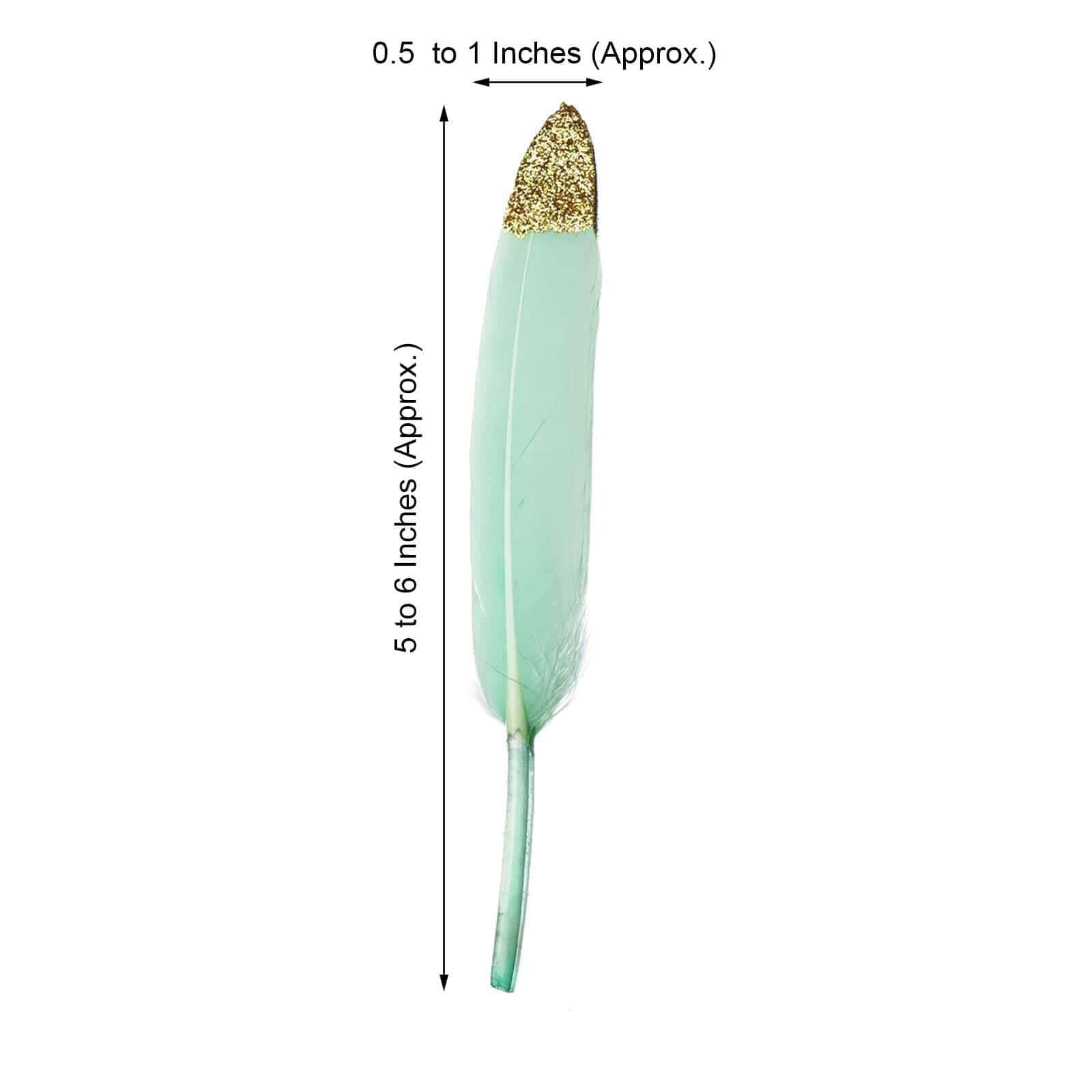 30 - Pack Turkey Feathers Craft Feathers Glitter Gold Tip Mint - Decorative Feathers for DIY Party Projects - Linen Luxes