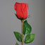 31" 24Pcs Red Long Stem Artificial Silk Roses Flowers - Linen Luxes
