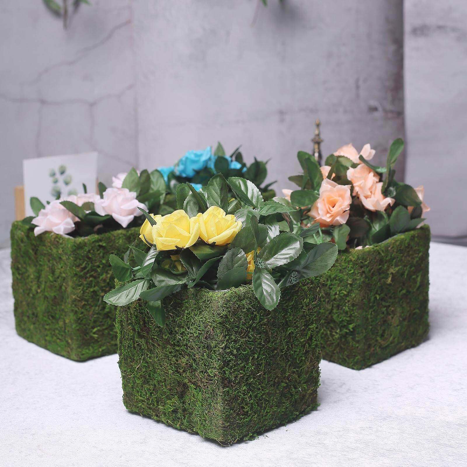 4 - Pack Square Planter Boxes Covered with Inner Lining Green Preserved Moss - Flower Basket Centerpieces 6" - Linen Luxes