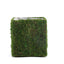 4 - Pack Square Planter Boxes Covered with Inner Lining Green Preserved Moss - Flower Basket Centerpieces 6" - Linen Luxes