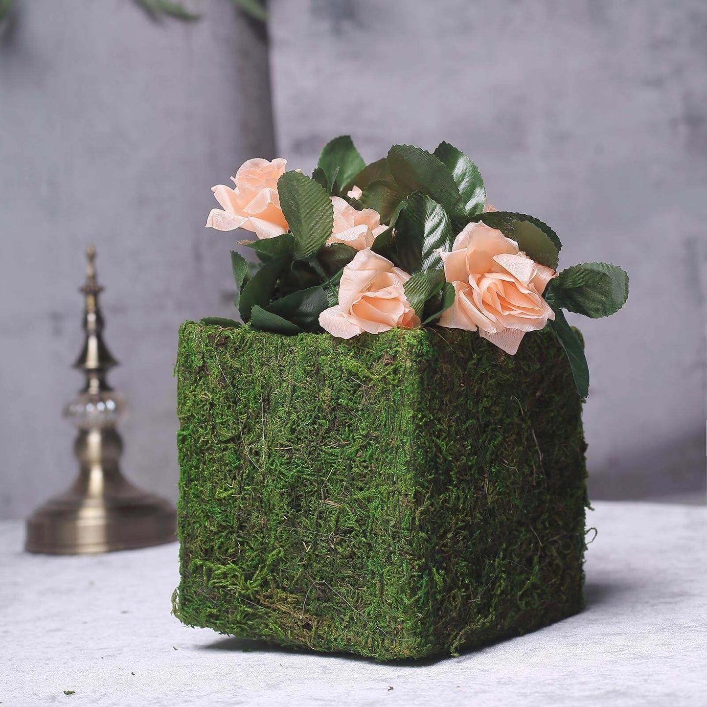 4 - Pack Square Planter Boxes Covered with Inner Lining Green Preserved Moss - Flower Basket Centerpieces 6" - Linen Luxes