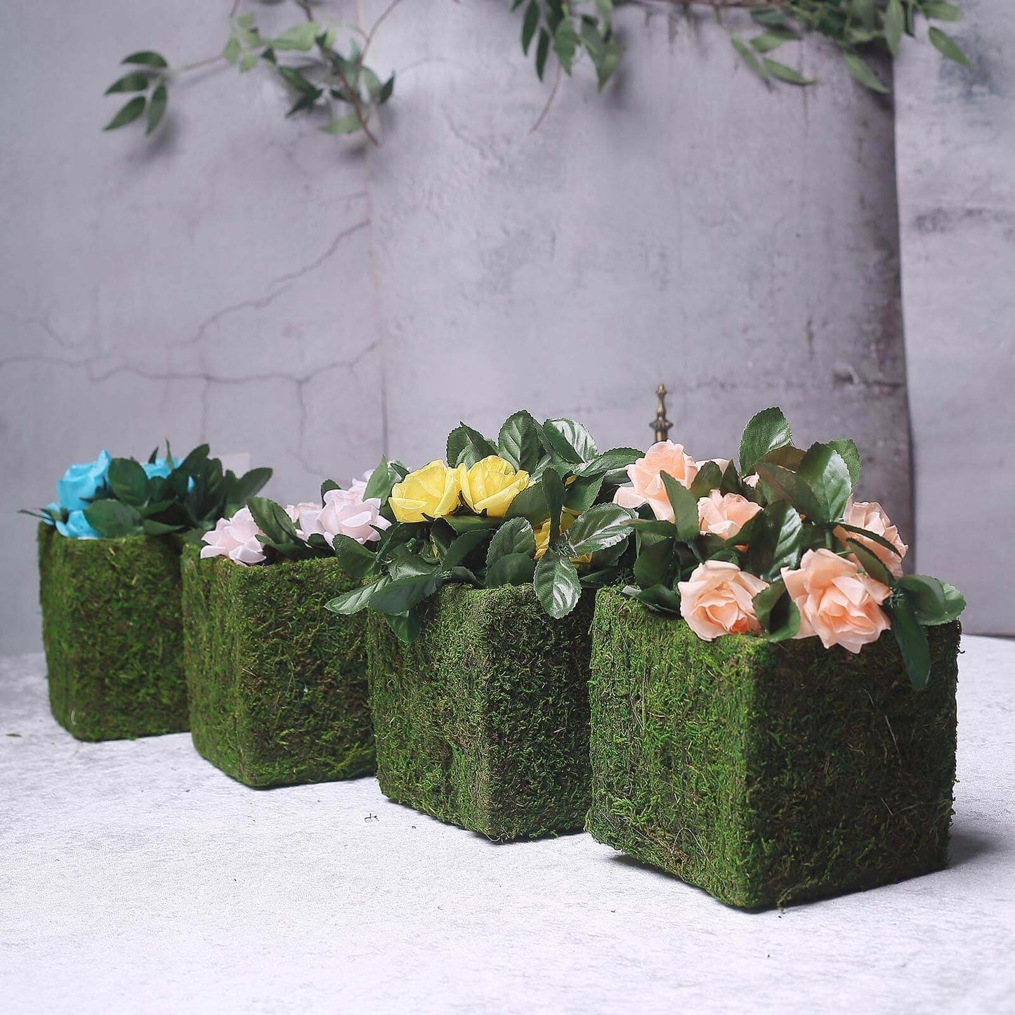 4 - Pack Square Planter Boxes Covered with Inner Lining Green Preserved Moss - Flower Basket Centerpieces 6" - Linen Luxes