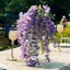 5 Pack 44" Silk Hanging Wisteria Flower Garland Vines in Purple, 3 Strands in 1 Bush - Linen Luxes