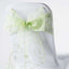 5 Pack Organza Chair Sashes with Satin Leaf Embroidery Apple Green - Reusable Sheer Design 7"x108" - Linen Luxes