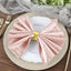 5 Pack Premium Velvet 20"x20" Napkins Blush - Soft Sheen Finish Cloth Napkins - Linen Luxes
