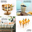 50 - Pack Pine Wood Food Cones Eco Friendly Natural Disposable Design - 100% Biodegradable Tasting Serving Cones 6" - Linen Luxes