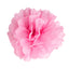 6 Pack 10" Pink Tissue Paper Pom Poms Flower Balls, Ceiling Wall Hanging Decorations - Linen Luxes