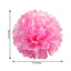 6 Pack 10" Pink Tissue Paper Pom Poms Flower Balls, Ceiling Wall Hanging Decorations - Linen Luxes