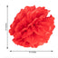 6 Pack 10" Red Tissue Paper Pom Poms Flower Balls, Ceiling Wall Hanging Decorations - Linen Luxes