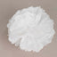 6 Pack 10" White Tissue Paper Pom Poms Flower Balls, Ceiling Wall Hanging Decorations - Linen Luxes