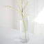 6 - Pack Glass Flower Vases Cylinder Design Heavy Duty Clear - Stylish Centerpieces for Weddings 14" - Linen Luxes