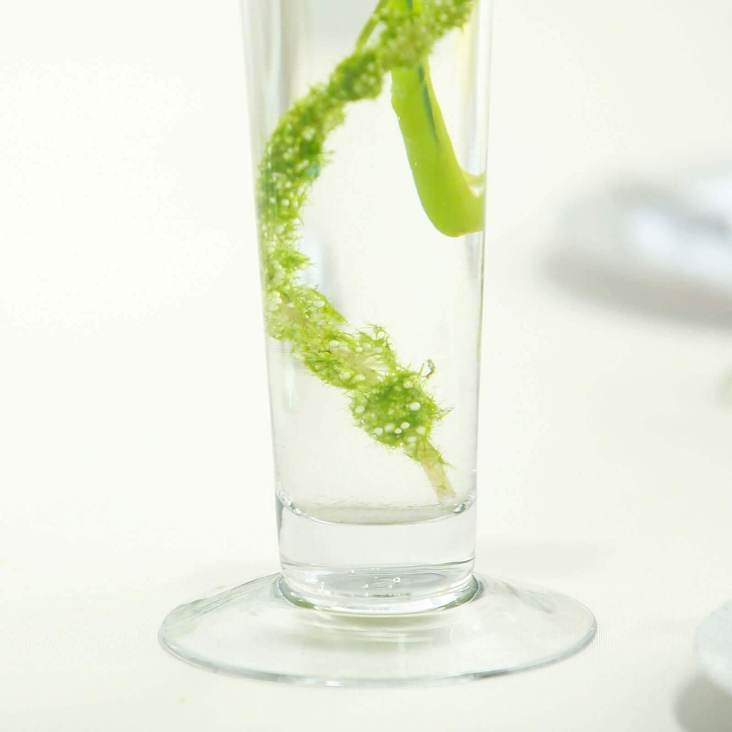 6 - Pack Glass Trumpet Vases Clear - Durable Design for Chic Event Displays 24" - Linen Luxes