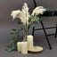 6 Stems Natural Dried Pampas Grass Decor Off White Tint - Versatile Plant Sprays for Boho Chic Vase Displays Backdrops & Event Styling 32"