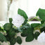 6ft 20 White Artificial Silk Roses Flower Garland, Hanging Vine - Linen Luxes
