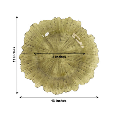 6-Pack Acrylic Plastic Round Charger Plates 13" in Transparent Dusty Sage Green with Reef Design, Dinner Charger Tableware