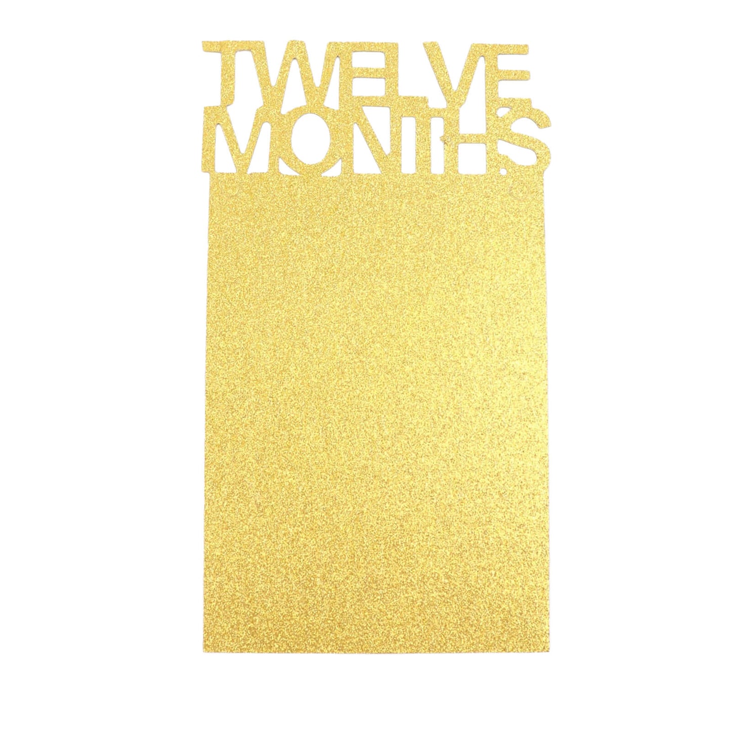 12 Month Milestone 1st Birthday Party Photo Backdrop Hanging Banner, Baby Photo Garland Banner - 5.5ft