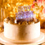 LED Cake Topper Multicolor Flashing Clear Acrylic - Perfect Happy Birthday Party Decor 5"x3"