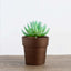 3-Pack Flower Plant Pots Small Design Rustic Brown - Plastic Indoor Decorative Planters 3"