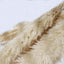 6 Stems Natural Dried Pampas Grass Decor Wheat Tint - Tall Plant Sprays for Boho Chic Vase Displays Backdrops & Event Styling 49"