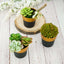 3-Pack Flower Plant Pots Small Design Black with Gold Rim - Plastic Indoor Decorative Planters 3"