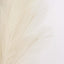 3 Stems Artificial Pampas Grass Decor Cream for Rustic Boho Chic Backdrops Floral Styling & Vase Displays 44"