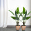 2 Pack 3ft Faux Potted Bird of Paradise Plant