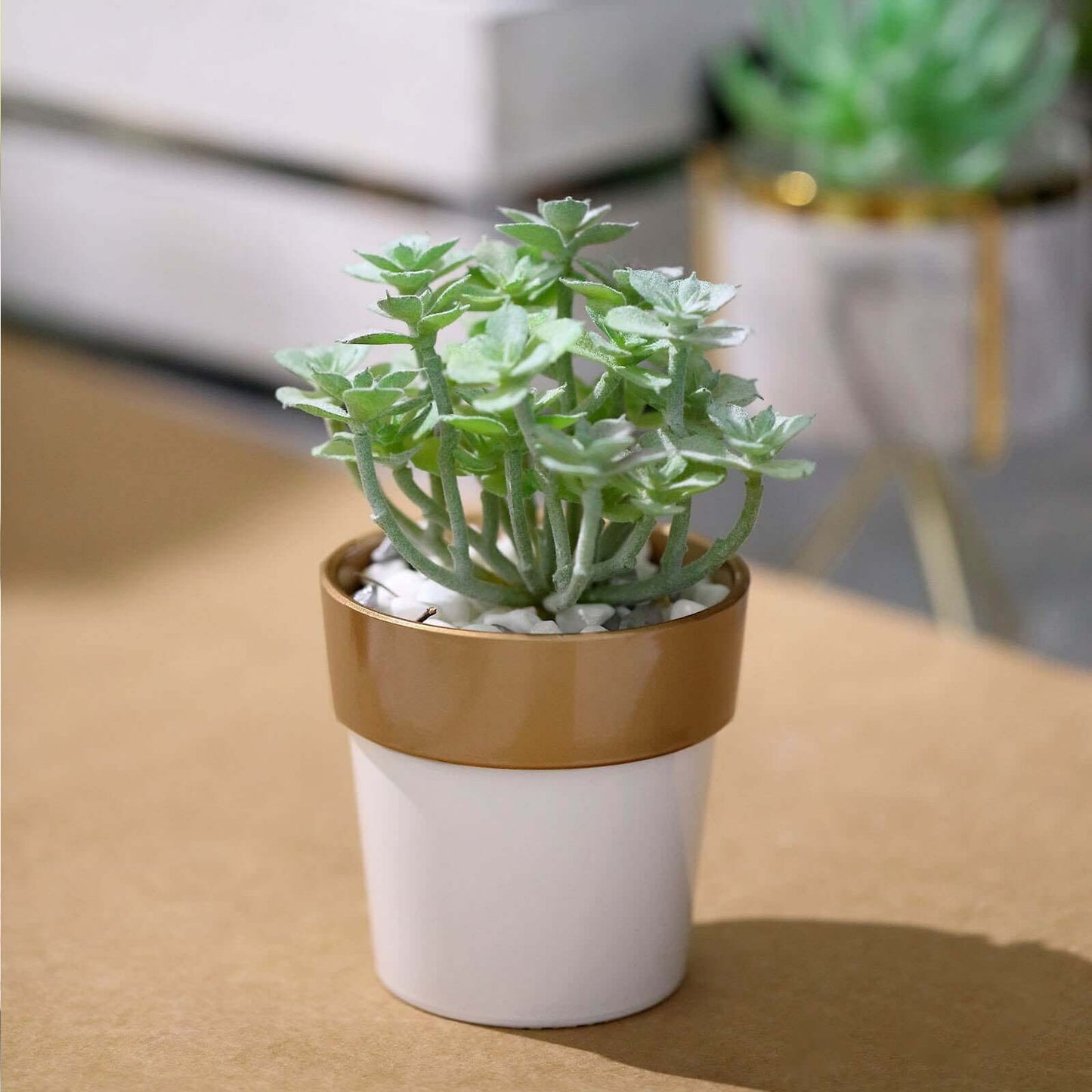 3-Pack Flower Plant Pots Small Design White with Gold Rim - Plastic Indoor Decorative Planters 3"
