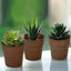 3-Pack Flower Plant Pots Small Design Rustic Brown - Plastic Indoor Decorative Planters 3"