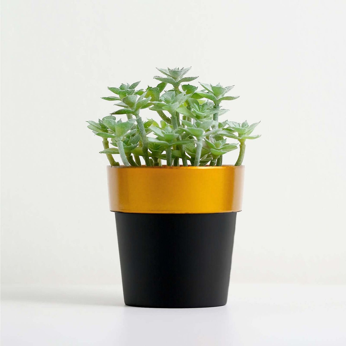 3-Pack Flower Plant Pots Small Design Black with Gold Rim - Plastic Indoor Decorative Planters 3"