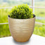 12" Metallic Gold Textured Finish Large Indoor Flower Plant Pot, Decorative Indoor Outdoor Planter