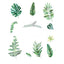 Green Tropical Assorted Leaves Wall Decals, Plant Peel Removable Stickers