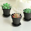 12-Pack Dessert Cups Succulent Planter Design Black - Plastic Serving Cups with Lids and Shovels 4"