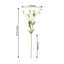 2 Stems 33" Ivory Artificial Silk Poppy Flower Bouquet Bushes