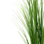 3 Plants 20" Green Artificial Indoor Outdoor Decorative Grass Sprays