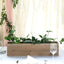 Natural Wood Planter Rectangular Box 24"x6"- Natural Decor with Removable Plastic Liner for Tables