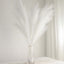 3 Stems Artificial Pampas Grass Decor White - Soft Realistic Faux Ornamental Grass Branches for Rustic Boho Chic Backdrops Floral Styling & Vase Displays 44"
