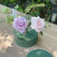 6 Pack Green Large Floral Foam Blocks for Artificial Flowers, 6" Round Wet Styrofoam Bricks Artificial Flower Arrangement Craft Supplies