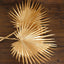 2-Pack Artificial Palm Leaf Stems Metallic Gold - Glam Tropical Faux Plant Vase Filler Floral Backdrop Table Decor 34"