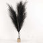 3 Stems Artificial Pampas Grass Decor Black - Soft Realistic Faux Ornamental Grass Branches for Rustic Boho Chic Backdrops Floral Styling & Vase Displays 44"