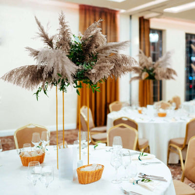 6 Stems Natural Dried Pampas Grass Decor Natural Tint - Versatile Plant Sprays for Boho Chic Vase Displays Backdrops & Event Styling 32"