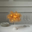 Table Lamp Feather Design Natural LED Battery Operated - Cordless Wedding Centerpiece 15"