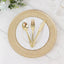8-Pack Glass Round Charger Plates 12" in Gold with Beaded Rim & Cross-Stitch Pattern, Event Tabletop Decorative Dinner Charger Tableware