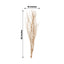 6-Pack Natural Birch Tree Branches 46" Metallic Gold - Versatile Extra Long Decorative Dried Willow Twigs Sticks for Vase Centerpiece Wedding Decor