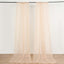 2 Pack Nude Sheer Chiffon Event Curtain Drapes, Durable Flame Resistant Organza Backdrop Event Panels With Rod Pockets - 10ftx10ft