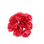 144 Pack Red Paper Mini Craft Roses, DIY Craft Flowers With Wired Stem